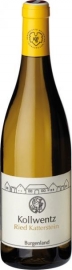1 Flasche Kollwentz Chardonnay Katterstein zum Top Prei